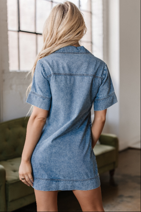 Denim Delight Dress