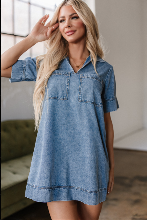 Denim Delight Dress